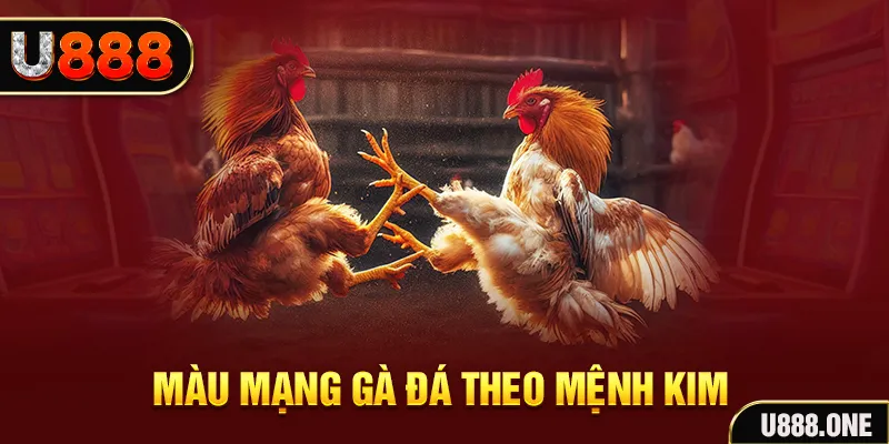 hi88 club gà chọi tiêu phong