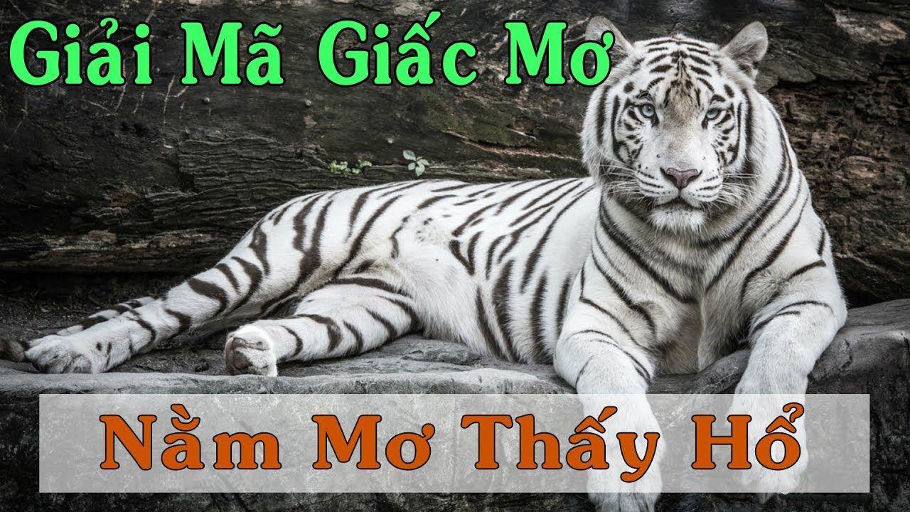 hi88 club xổ số miền trung