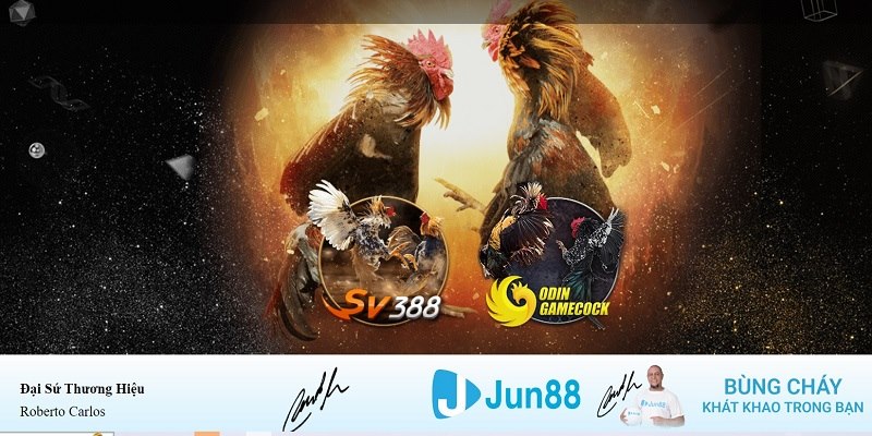 hi88 club xổ số miền nam hàng tuần