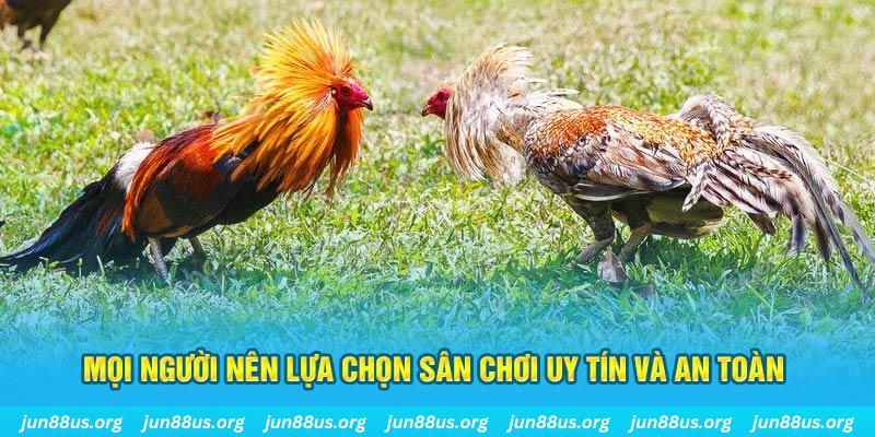 hi88 club hơn cả bạn bè