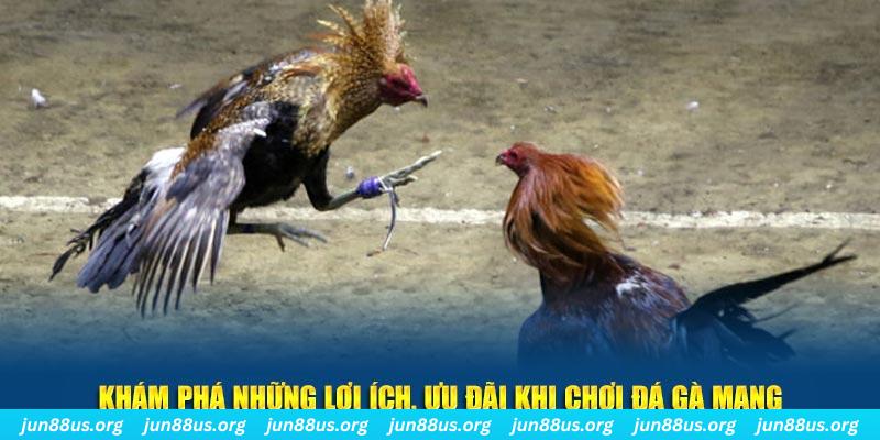 hi88 club Tài Xỉu 2