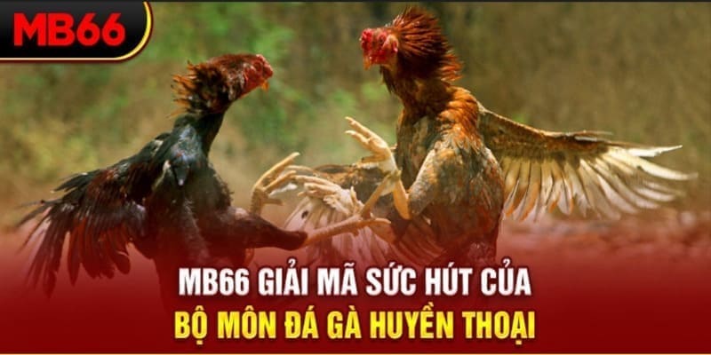 hi88 club long bảo trong baccarat là gì