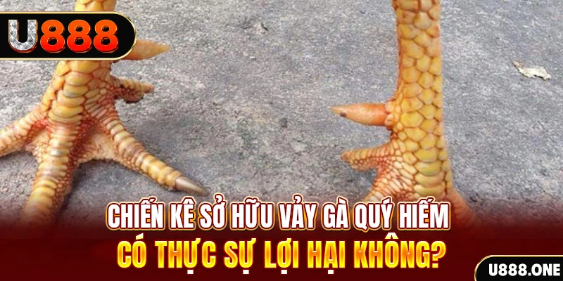 hi88 club game cá cược máy bay