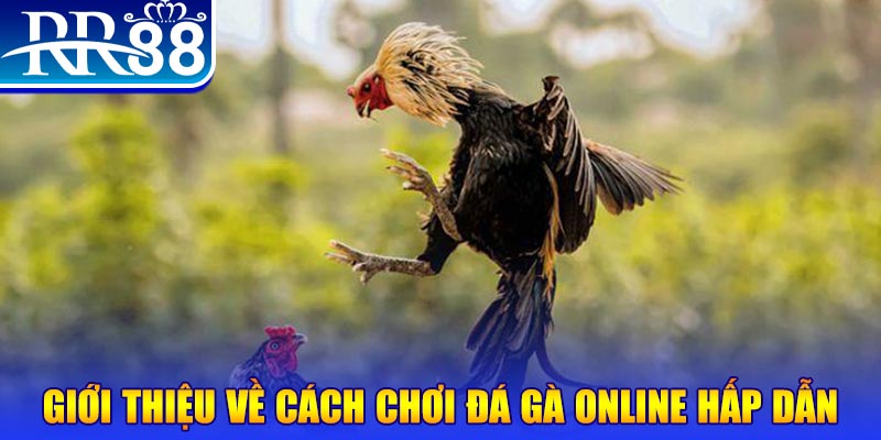 hi88 club nổ hũ 2 mặt là gì