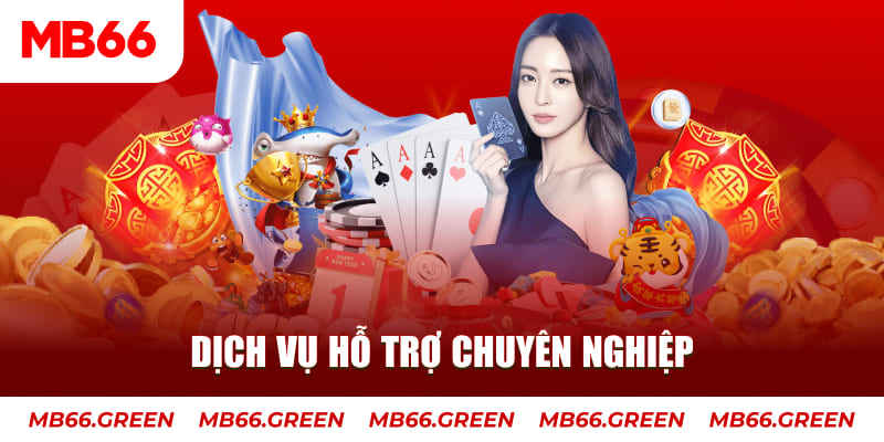 hi88 club gà chọi cậu thanh