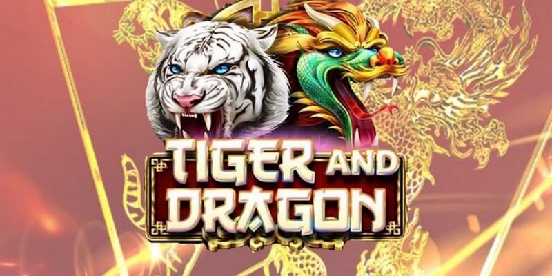hi88 club cá cược tiếng anh là gì