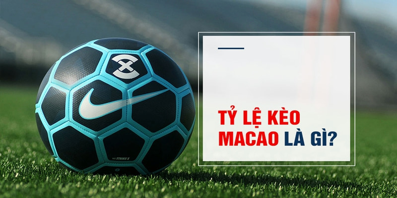 hi88 club Trăm Knorr